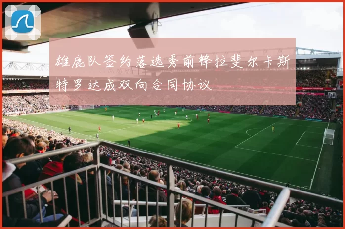 雄鹿队签约落选秀前锋拉斐尔卡斯特罗达成双向合同协议